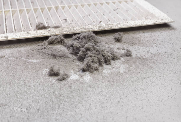 Air Duct Mold Removal in Chelsea, AL